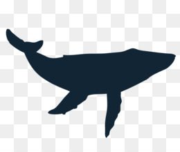 260x220 killer whale cetaceans tattoo toothed whale