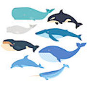 180x180 Whales And Dolphin Set Marine Mammals Illustration Narwhal, Blue