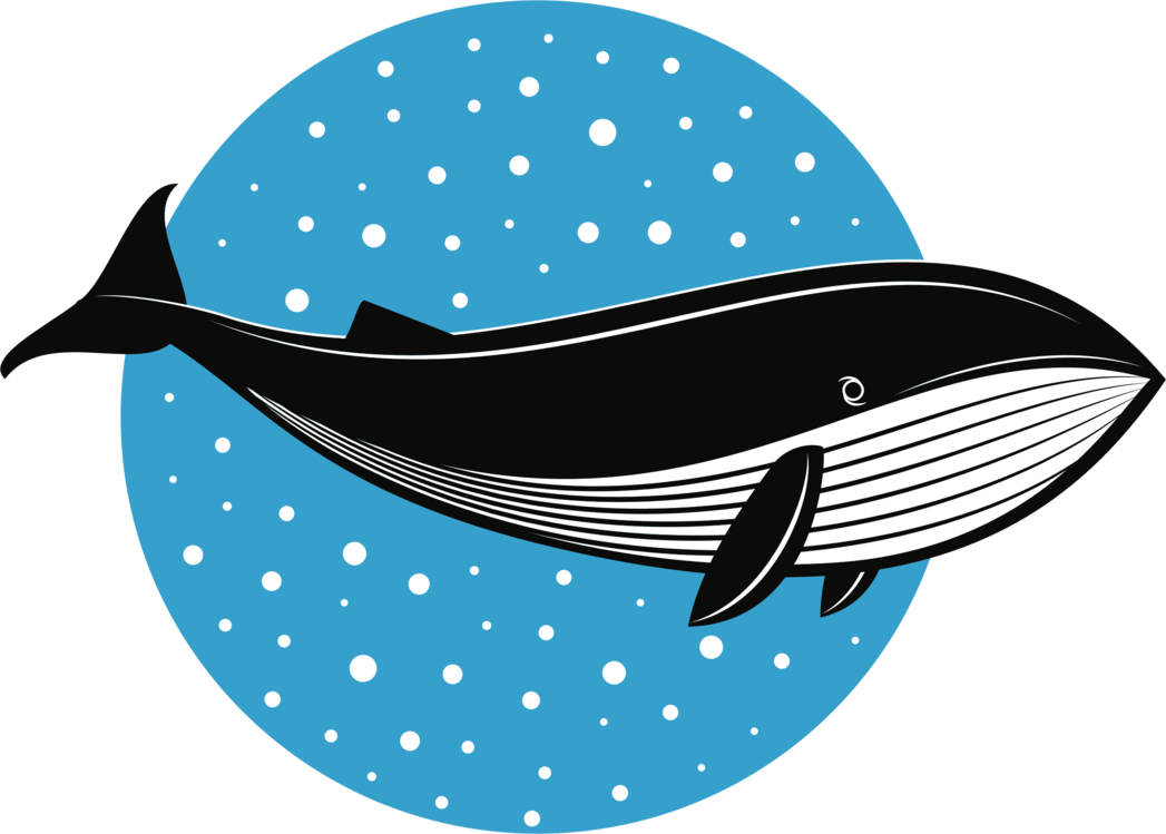 1047x749 Whales Fish Logo Dolphin Drawing Cc0