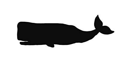 425x242 whale sperm whale stencil made from ply matboard