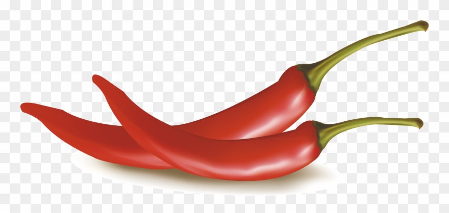 880x418 Chili Drawing Cayenne Pepper Clipart
