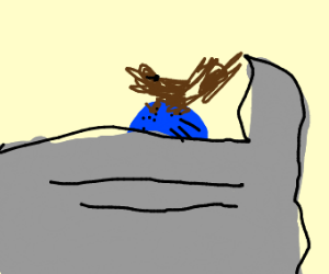 300x250 Squirrel Works