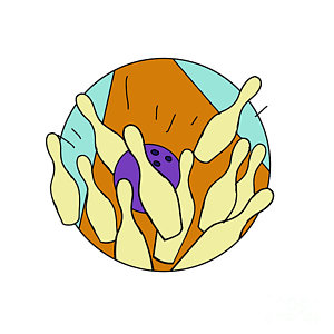 300x300 Bowling Lane Art