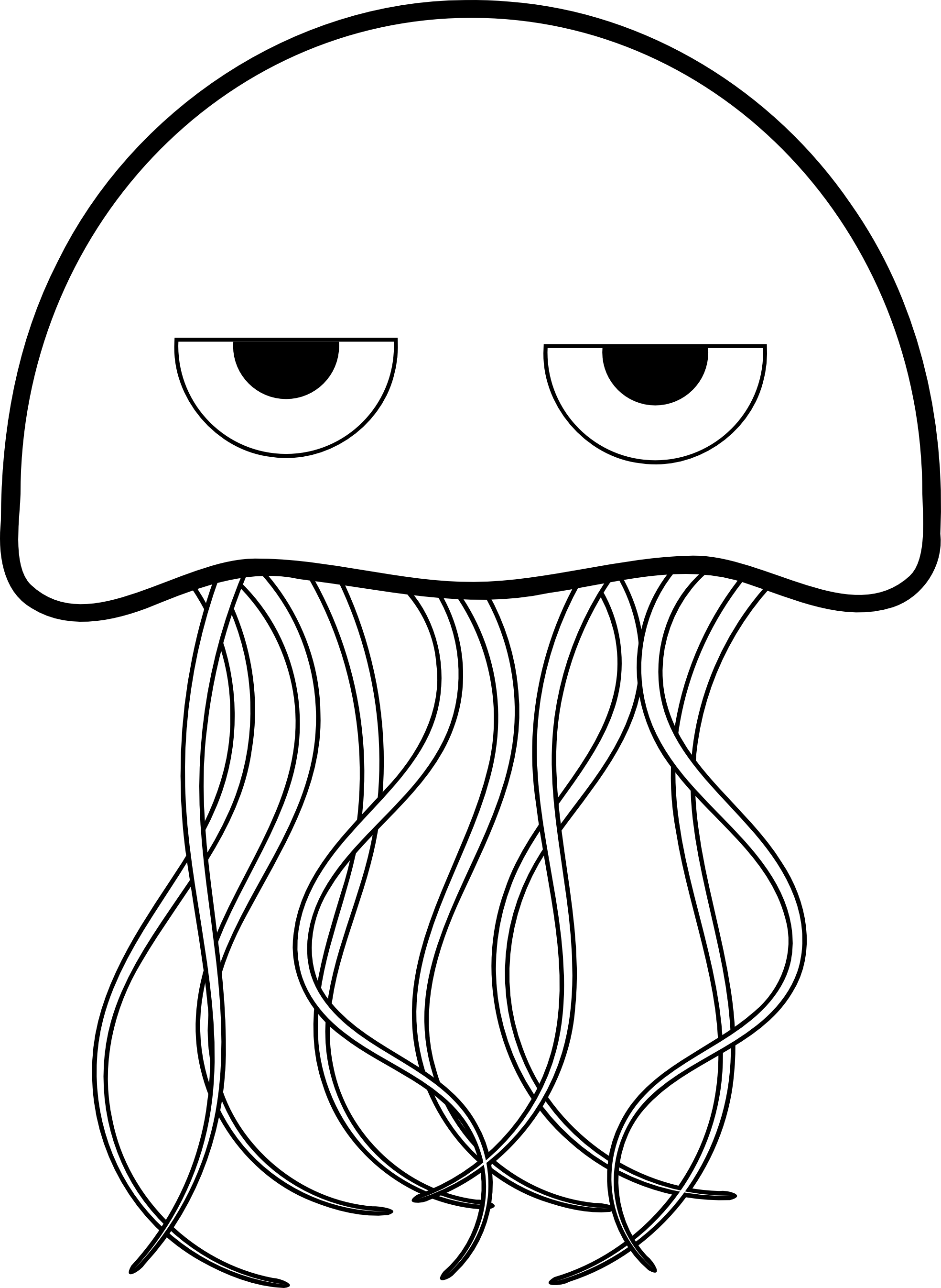 Box Jellyfish Drawing