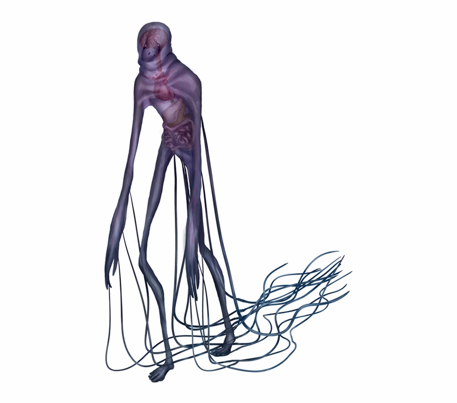 920x810 Box Jellyfish Png