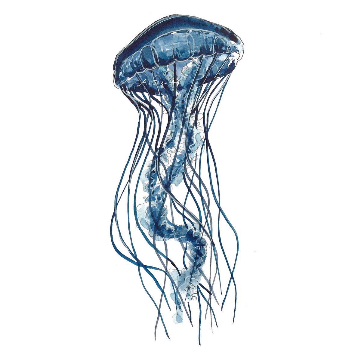 Jellyfish Drawing Color ~ Jellyfish Coloring Pages Kids Drawing Color ...