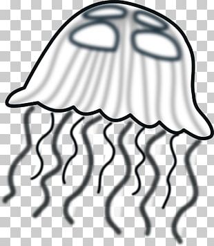310x356 Box Jellyfish Kavaii Irukandji Jellyfish Drawing Png, Clipart