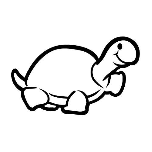 500x500 Leon Online Box Turtle Walk Along Beach