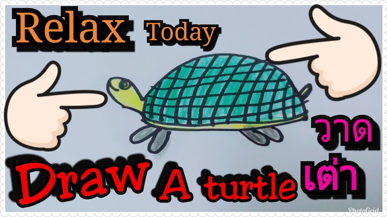1280x720 How To Draw A Turtle For Kids Drawing For Kids