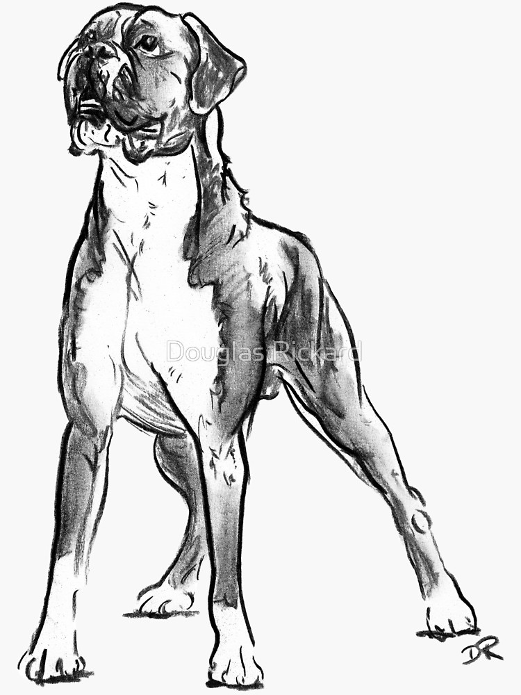 750x1000 Boxer Dog Drawing Sticker