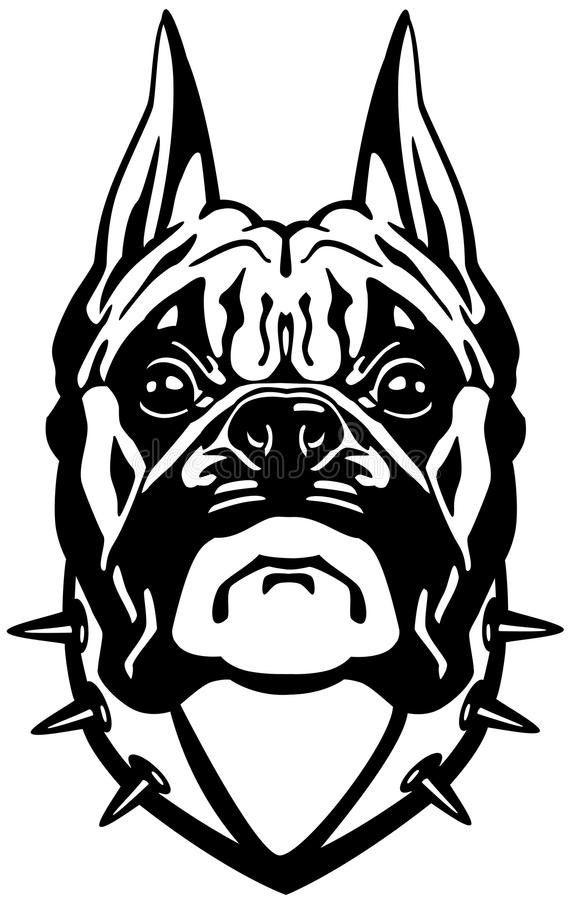 574x900 boxer dog head black white amee house