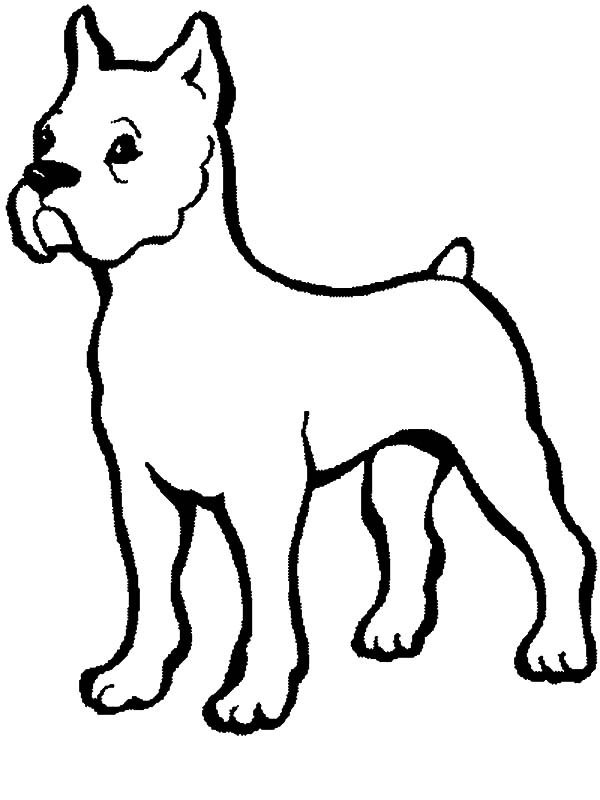 600x800 Coloring Pages Of Boxer Dogs Dog Draw Cartoon