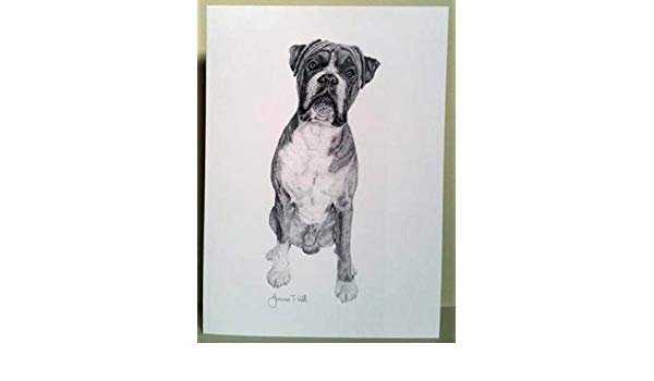 600x350 Joanne T Kell Boxer Dog Greetings Card Kitchen Home