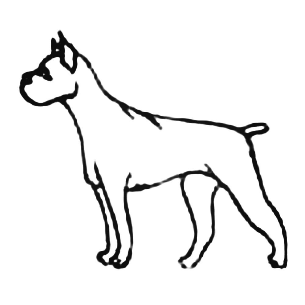 Boxer Dog Line Drawing | Free download on ClipArtMag