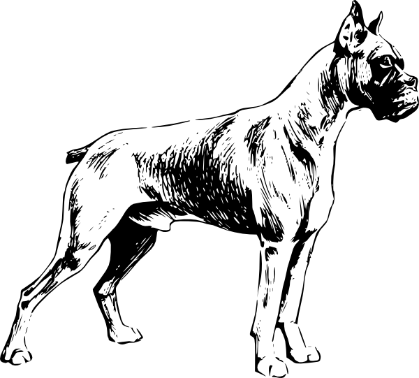 600x541 Dog Clip Art