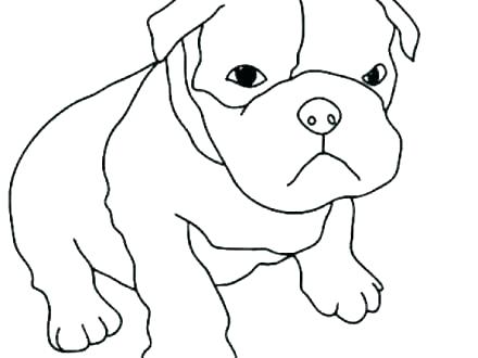 440x330 Dog Coloring