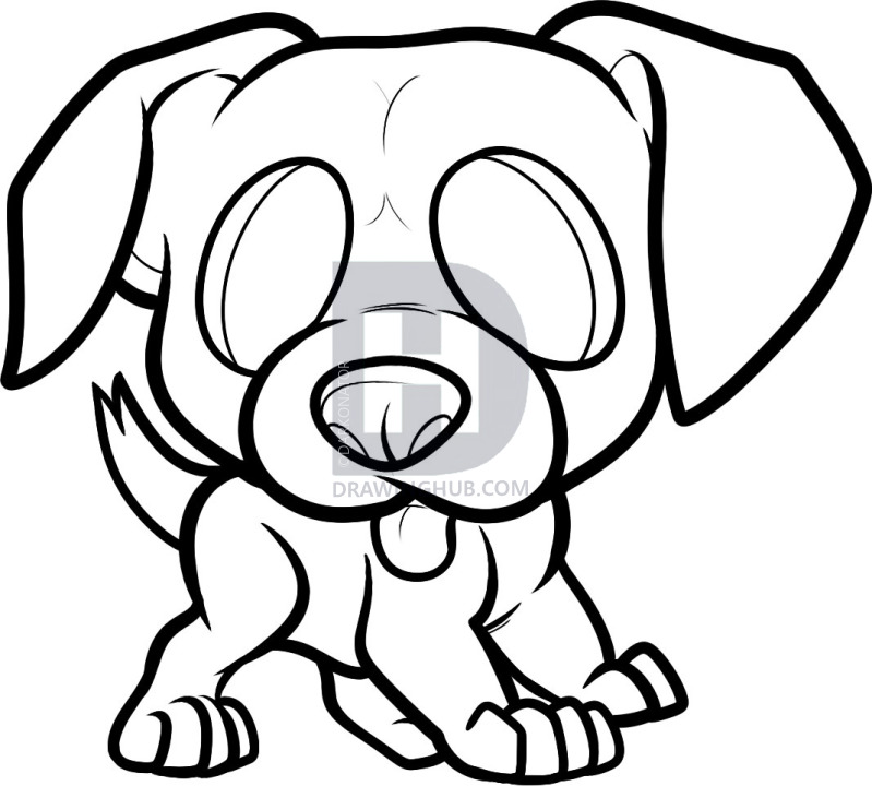 799x720 how to draw a boxer puppy, boxer puppy, step