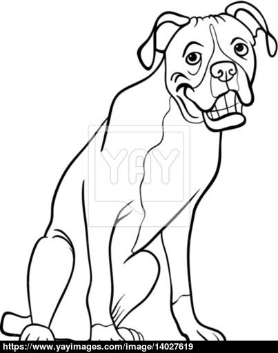 403x512 Boxer Dog Cartoon For Coloring Book Vector
