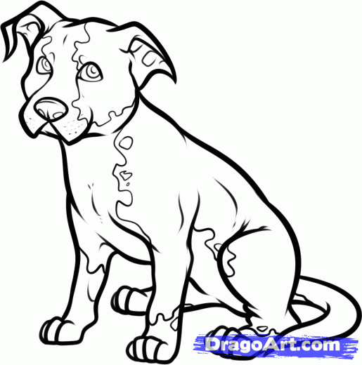 515x520 Pics Of Dog Sitting