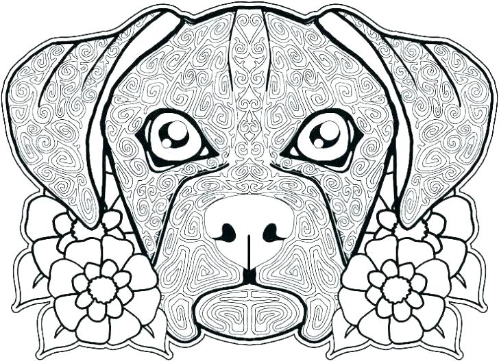 Boxer Dog Line Drawing | Free download on ClipArtMag