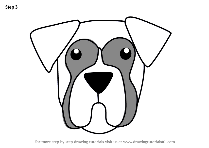 Boxer Puppy Drawing