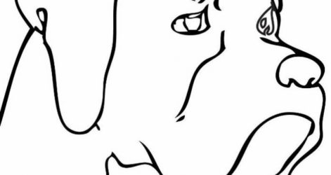 471x250 Cat Drawing Easy Cute Chibi Girl Anime Boy Dog And Steps Carmi