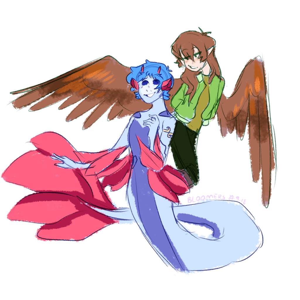 1024x1024 Mermaid Boyfriend And Avian Girlfriend Voltron