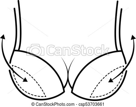 450x354 Bra With Push Up And Arrows Vector