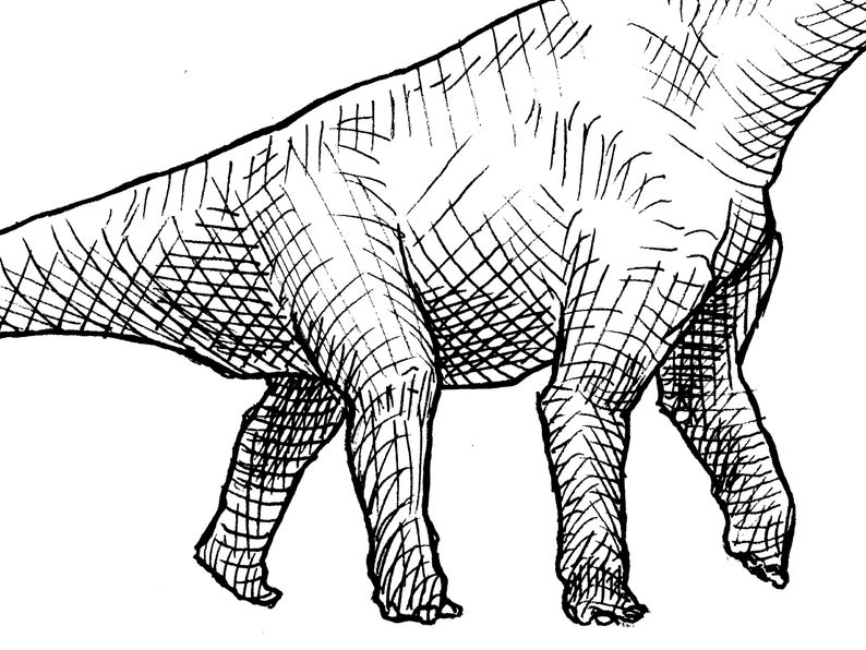 794x596 Brachiosaurus Dinosaur Decor Drawing Wall Art Print Etsy