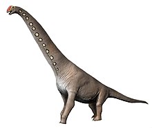 220x186 Brachiosaurus
