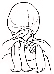 220x299 How To Make A Basic Braid