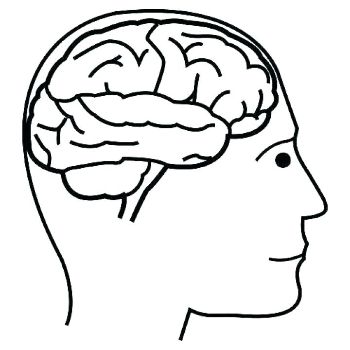 720x720 Brain Coloring Sheet Brain Coloring