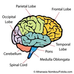 300x300 Dance, Sing, Draw The Musician's Brain