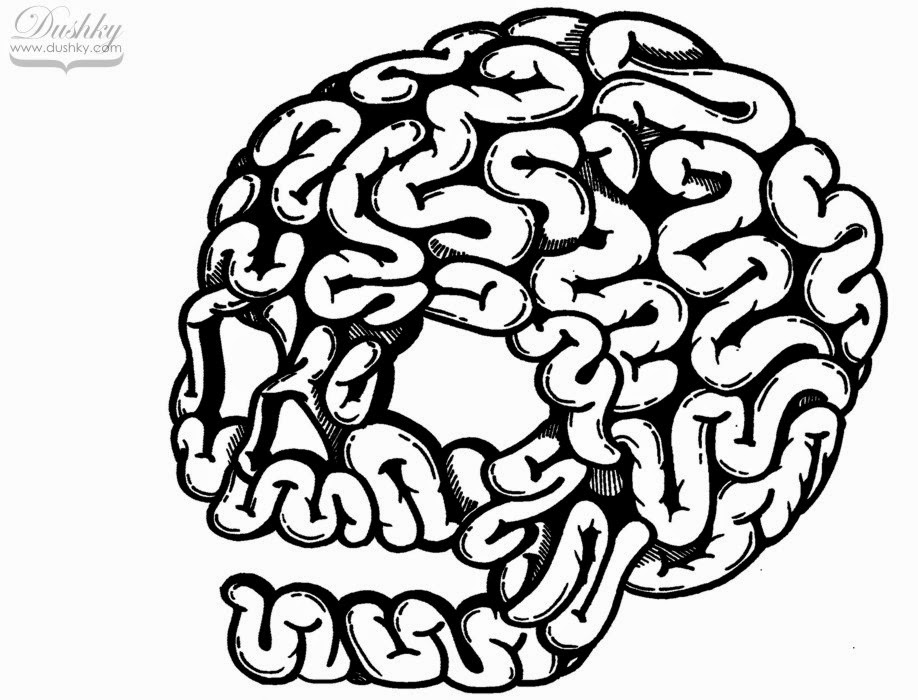 918x700 Brain Drawing Skull For Free Download