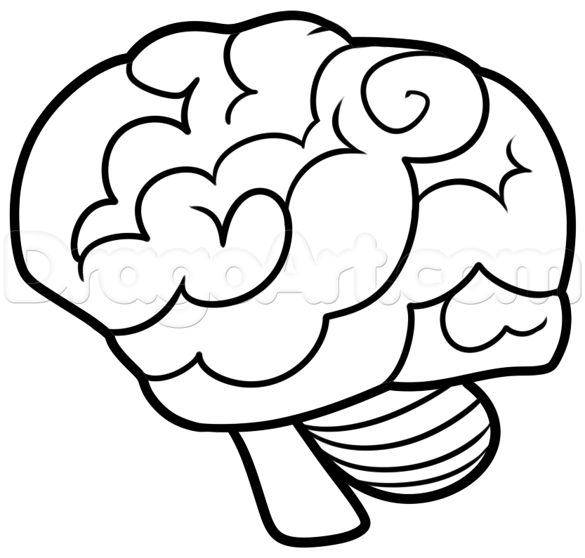 833x795 How To Draw A Brain For Beginners, Step