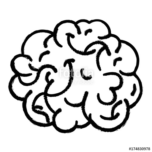 500x500 Figure Human Brain Anatomy To Creative And Intellect Stock Image