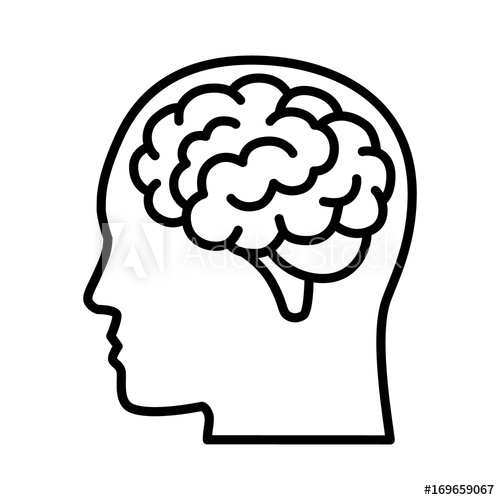 500x500 Huge Collection Of 'brain Line Drawing' Download More Than