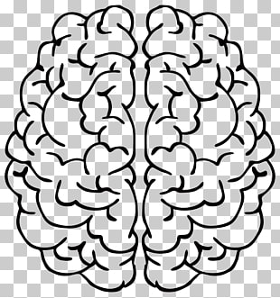 310x331 Line Art Brain Drawing Brain Png Clipart Free Cliparts Uihere