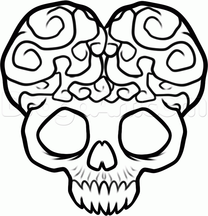 700x728 Step How To Draw A Skull Brain