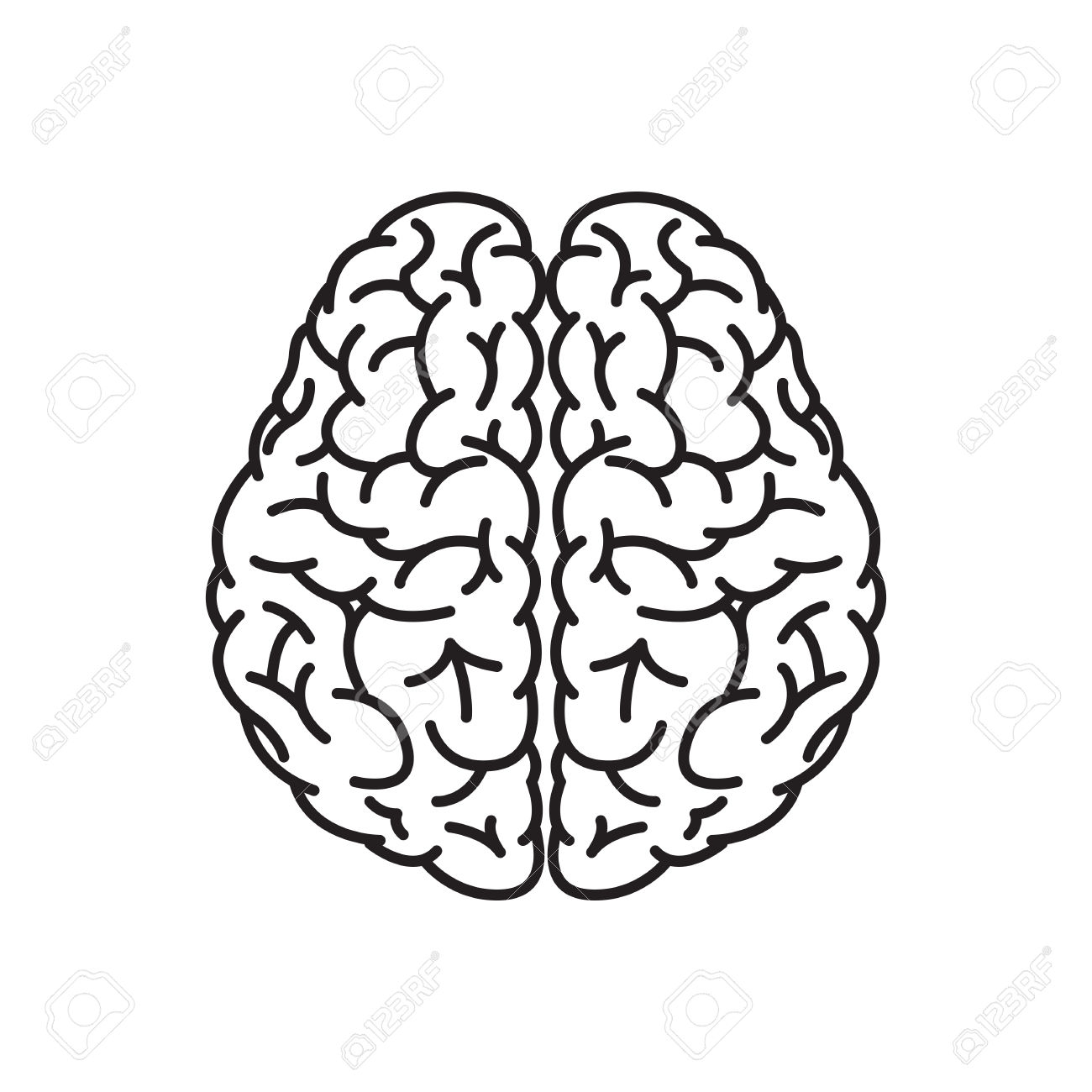 1300x1300 Temporary Brain, Drawing, Illustration, Transparent Png Image