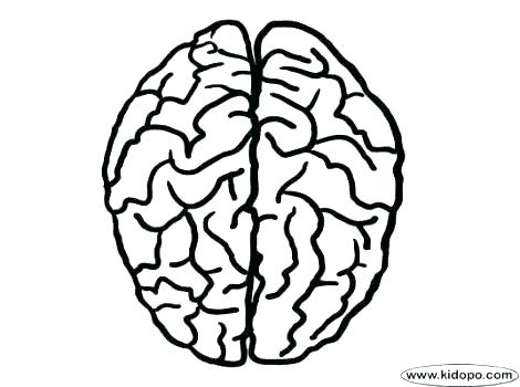 470x350 Brain Coloring