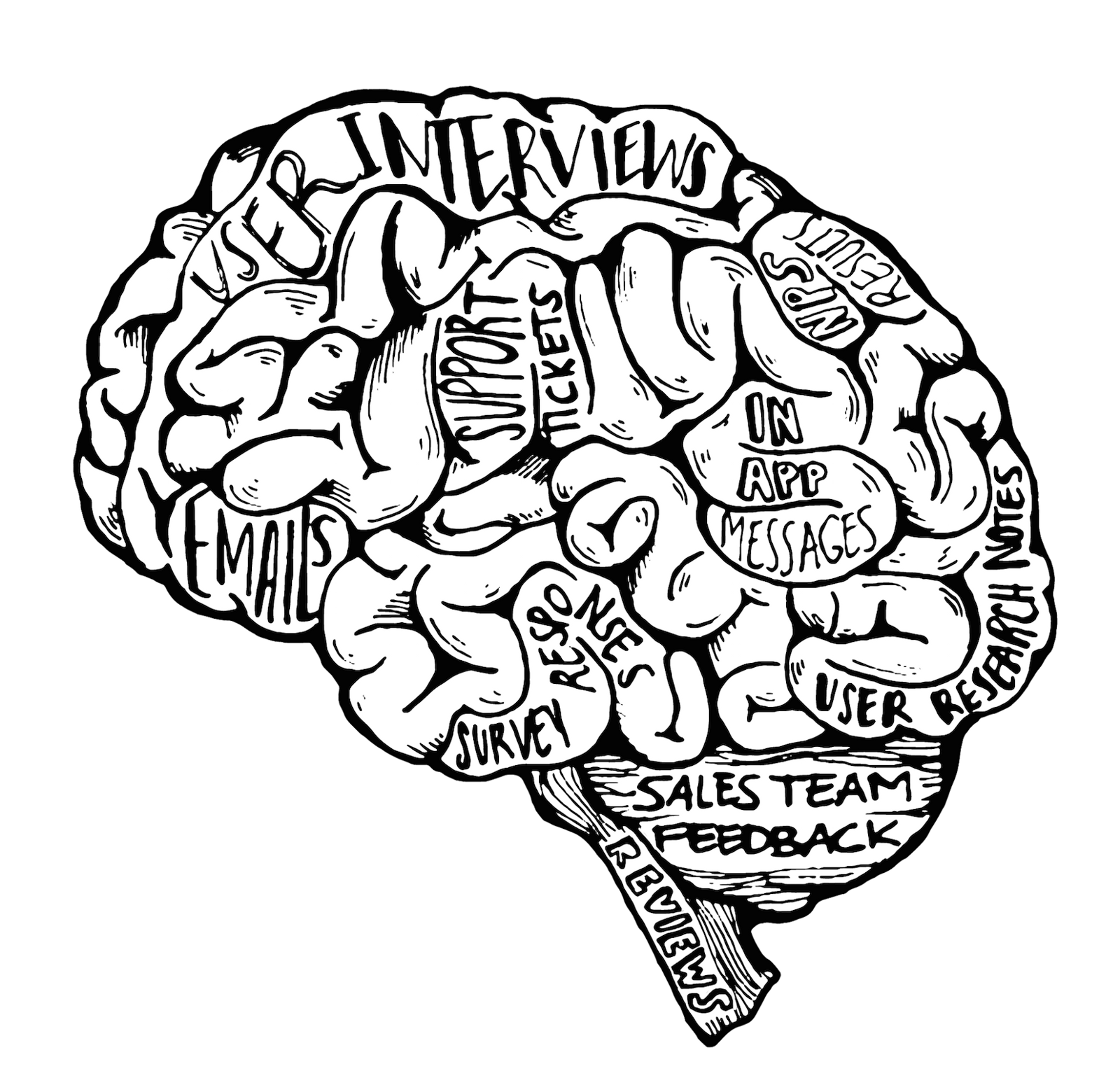 1600x1560 Cauliflower Drawing Line Transparent Png Clipart Free Download