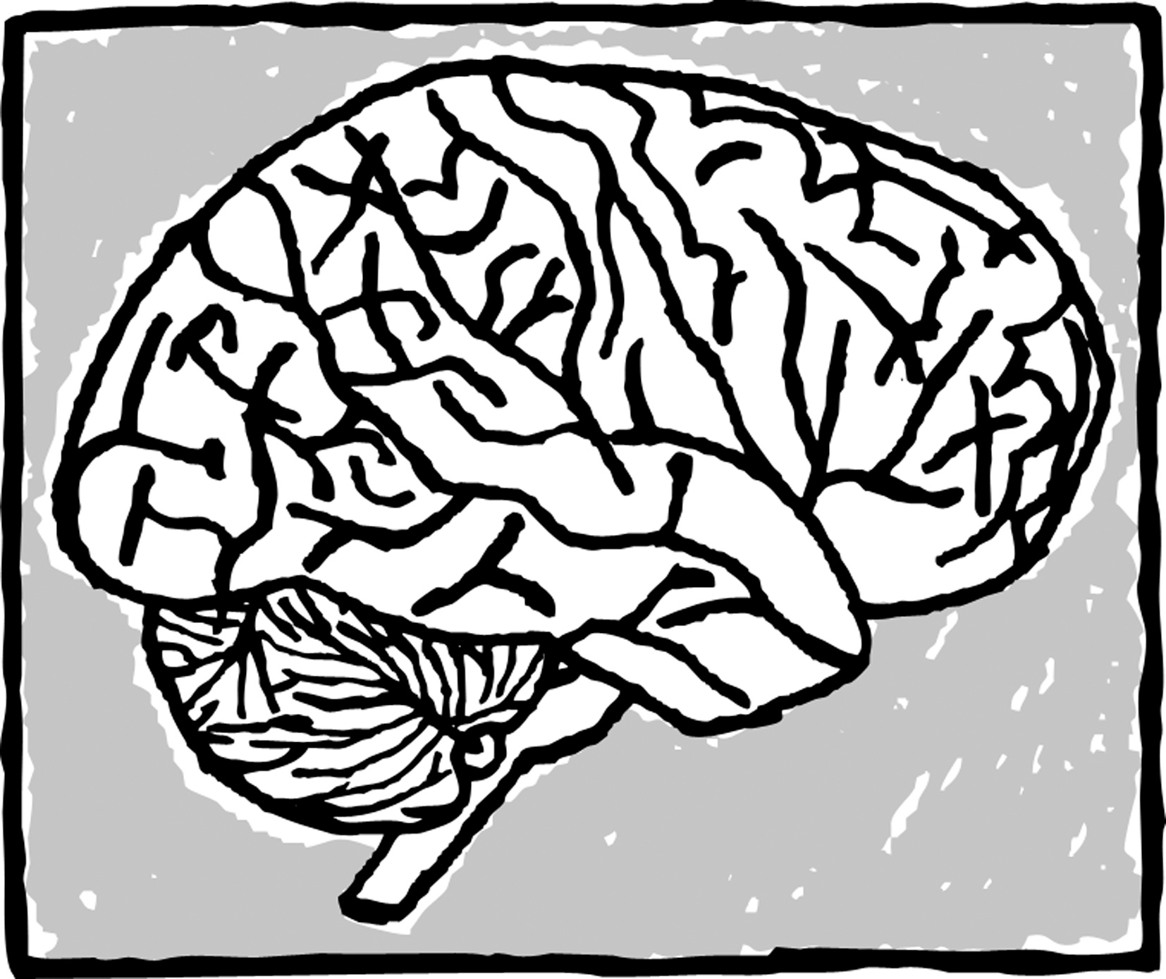 1654x1389 Editorial The Brain