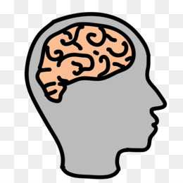 260x260 Portable Network Graphics Clip Art Cartoon Image Brain