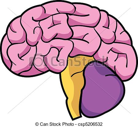 450x415 Simple Brain Drawing