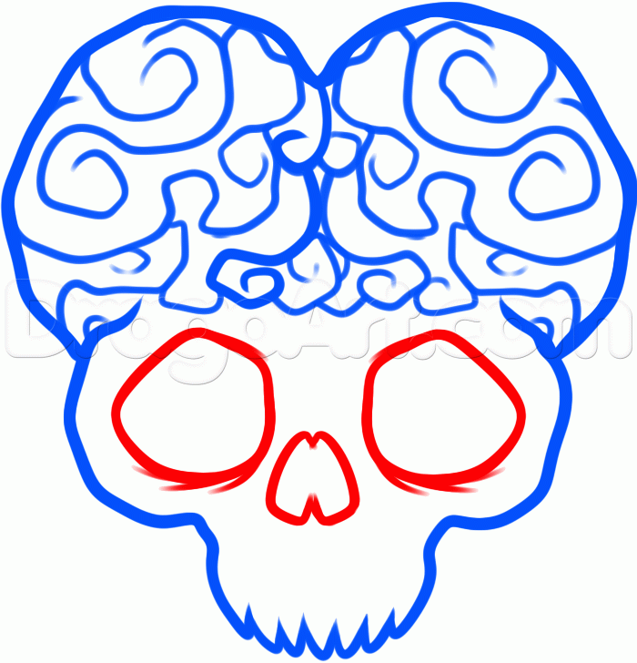 700x728 Step How To Draw A Skull Brain