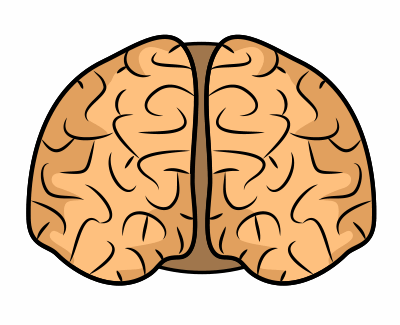 400x325 Drawing A Cartoon Brain Kid Ideas Brain Drawing, Cartoon Brain