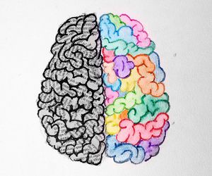 300x250 Left Brain Vs Right Brain Artthings I Want To Draw