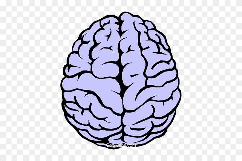 840x560 Simple Brain Png Free Simple Brain Transparent Images