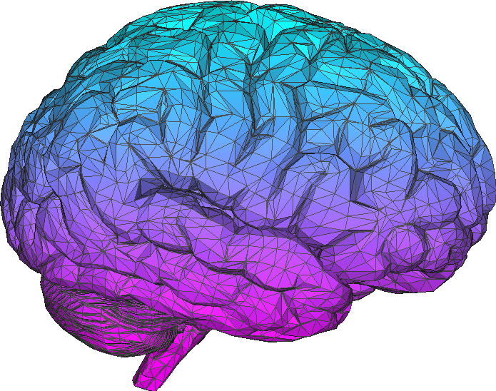 695x548 Brain Holo Ombre Tumblr